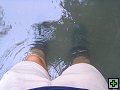 thn_NZ leden-unor 2006 230.jpg